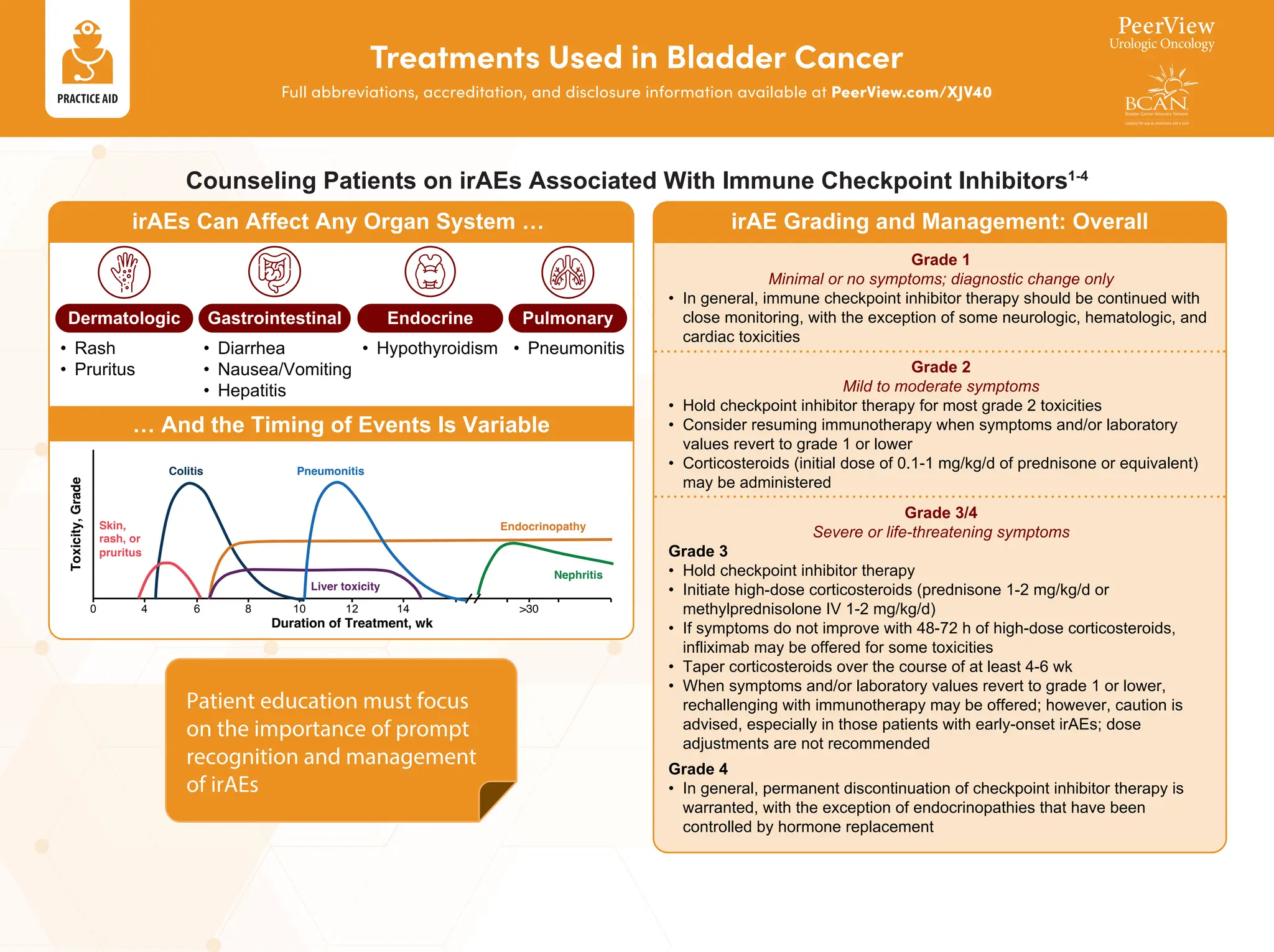Pioneering Precision Medicine in Bladder Cancer: Multidisciplinary ...