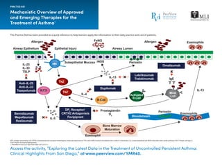 This Practice Aid has been provided as a quick reference to help learners apply the information to their daily practice and care of patients.
Mechanistic Overview of Approved
and Emerging Therapies for the
Treatment of Asthma1
APC: antigen-presenting cell; CRTH2: chemoattractant receptor-homologous molecule expressed on Th2 cells; FeNO: fraction of exhaled nitric oxide; IL: interleukin; ILC: innate lymphoid cell; iNOS: Inducible nitric oxide synthase; Th2: T helper cell type 2;
TSLP: thymic stromal lymphopoietin.
1. Parulekar A et al. Curr Opin Pulm Med. 2017;23:3-11.
PRACTICE AID
Access the activity, “Exploring the Latest Data in the Treatment of Uncontrolled Persistent Asthma:
Clinical Highlights From San Diego,” at www.peerview.com/YMR40.
APCIL-25
IL-33
TSLP
Anti–IL-25
Anti–IL-33
Tezepelumab
Benralizumab
Mepolizumab
Reslizumab
DP2
Receptor/
CRTH2 Antagonists
Fevipiprant
Dupilumab
Omalizumab
Th2
Th2
ILC2
B Cell
IL-5
IL-4
IL-13
Periostin
Epithelial Injury Airway LumenAirway Epithelium
Allergen Allergen
Subepithelial Mucosa
FeNO
Prostaglandin
D2
Bone Marrow
Maturation
Bloodstream
Periostin
Eosinophils
Eosinophils
Activated
B Cell
IgE
IL-13
Mast
Cell
iNOS
Eosinophil
Lebrikizumab
Tralokinumab
 