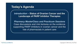 Making Sense of the Evolving Treatment Landscape in Ovarian Cancer Care ...