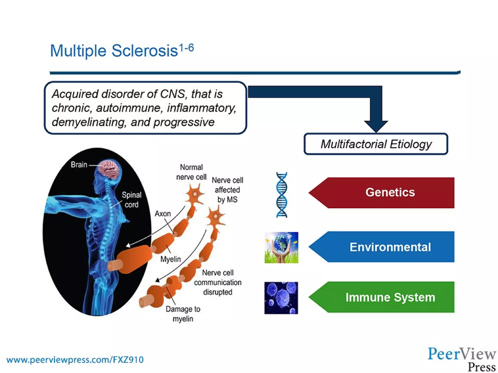 Navigating the Present and Advancing the Future of Multiple Sclerosis ...