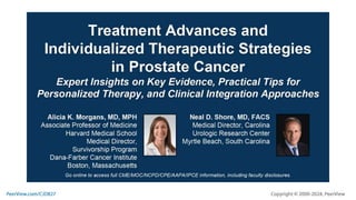 Treatment Advances and Individualized Therapeutic Strategies in Prostate Cancer: Expert Insights on Key Evidence, Practical Tips for Personalized Therapy, and Clinical Integration Approaches