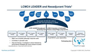 Refining Precision Decisions in NSCLC With Common and Less Common EGFR Mutations: Navigating Testing and Treatment Throughout the Disease Continuum
