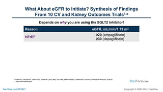 How I Think, How I Treat: Cardiology-Focused Perspectives on Using SGLT2 Inhibitors to Optimize Outcomes in Patients With ...