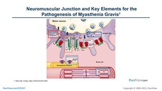 Leveraging FcRn Modulation in Personalized Management of Generalized Myasthenia Gravis: Applying the Evidence, Tools, and Patient Perspectives to Achieve Treatment Goals