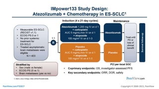 Optimizing the Care of Patients With SCLC in the Community Setting: How to Make the Most of the Latest Therapeutic Advances and Team-Based Best Practices