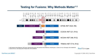 Fine-Tuning Biomarker Testing to Identify and Target RET Fusions as Uncommon But Actionable Genomic Alterations in NSCLC