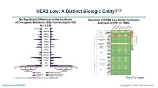 A New View of the Spectrum of HER2 Expression and Significance of HER2 Low in Breast Cancer: Exploring the Biology and Updating Best Practices for Testing and Treatment