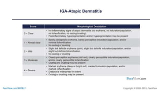 A Closer Look at the Atopic Dermatitis Patient Journey: Effective ...