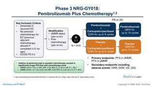 Immunotherapy as a Treatment Cornerstone for Advanced Endometrial Cancer: Personalizing Patient Care