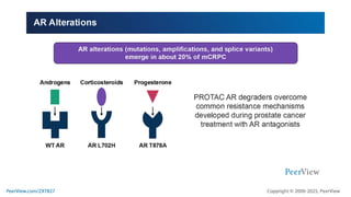 Precision Medicine Crafts a New Story for Metastatic Prostate Cancer ...