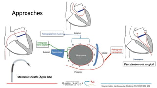 Percutanous PVL closure