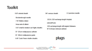 Percutanous PVL closure