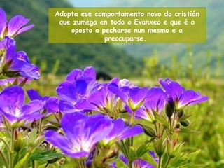 Adopta ese comportamento novo do cristián
que zumega en todo o Evanxeo e que é o
oposto a pecharse nun mesmo e a
preocuparse.
 