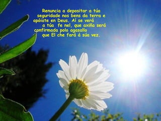 Renuncia a depositar a túa
seguridade nos bens da terra e
apóiate en Deus. Aí se verá
a túa fe nel, que axiña será
confirmada polo agasallo
que El che fará á súa vez.
 