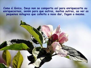 Como é lóxico, Deus non se comporta así para enriquecerte ou
enriquecernos, senón para que outros, moitos outros, ao ver os
pequenos milagres que colleita o noso dar, fagan o mesmo.
 