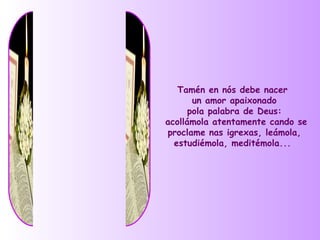Tamén en nós debe nacer
       un amor apaixonado
      pola palabra de Deus:
acollámola atentamente cando se
proclame nas igrexas, leámola,
  estudiémola, meditémola...
 