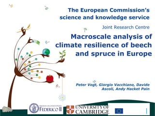 The European Commission’s
science and knowledge service
Joint Research Centre
Macroscale analysis of
climate resilience of beech
and spruce in Europe
Peter Vogt, Giorgio Vacchiano, Davide
Ascoli, Andy Hacket Pain
 