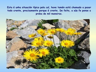 Esta é unha situación típica pola cal, hoxe tamén está chamado a pasar
todo crente, precisamente porque é crente. De feito, a súa fe ponse a
                         proba de mil maneiras.
 