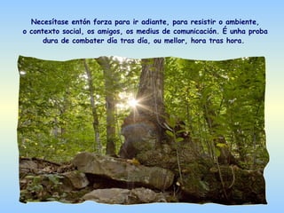 Necesítase entón forza para ir adiante, para resistir o ambiente,
o contexto social, os amigos, os medius de comunicación. É unha proba
      dura de combater día tras día, ou mellor, hora tras hora.
 