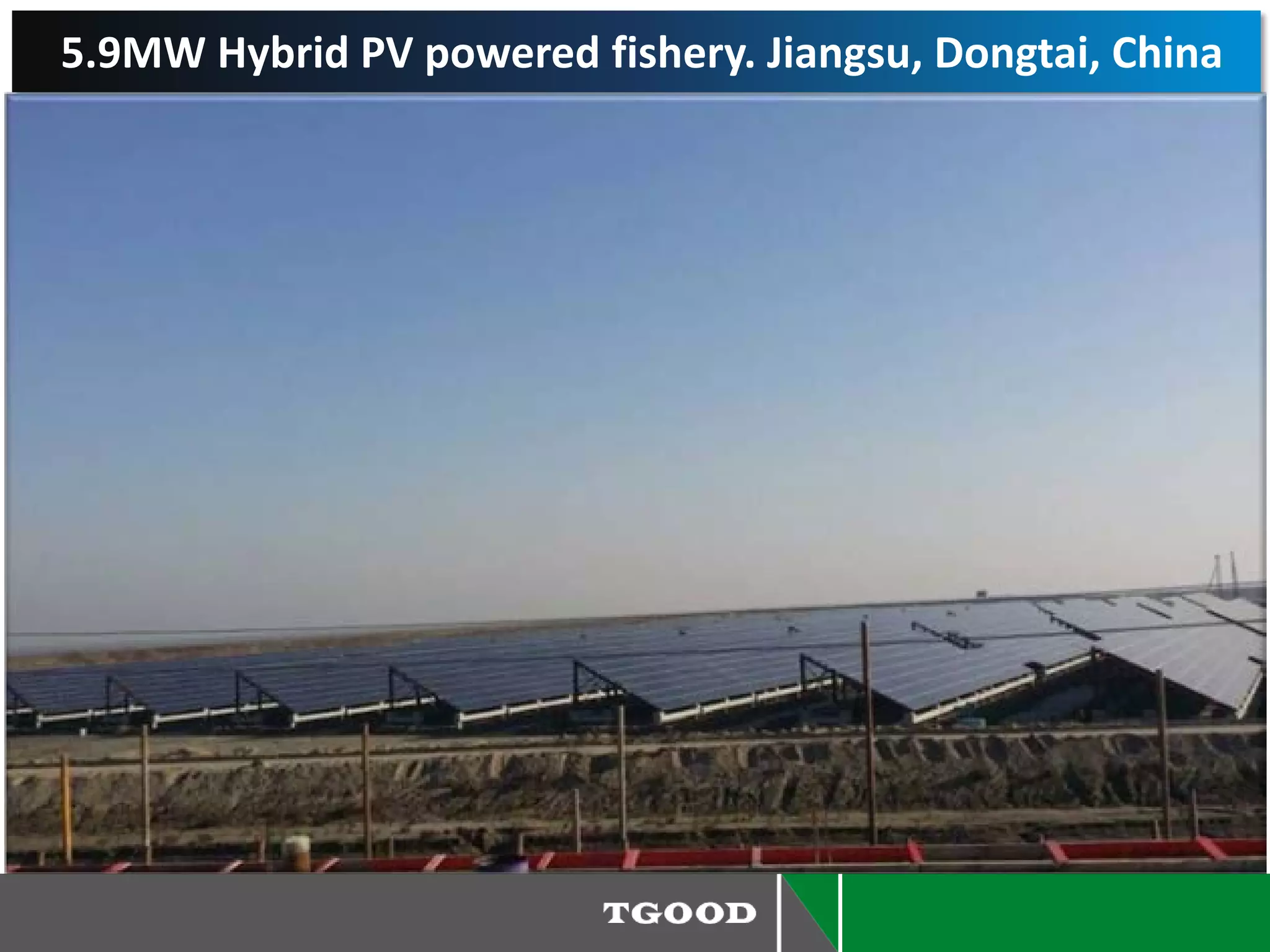 5.9MW Hybrid PV powered fishery. Jiangsu, Dongtai, China
 