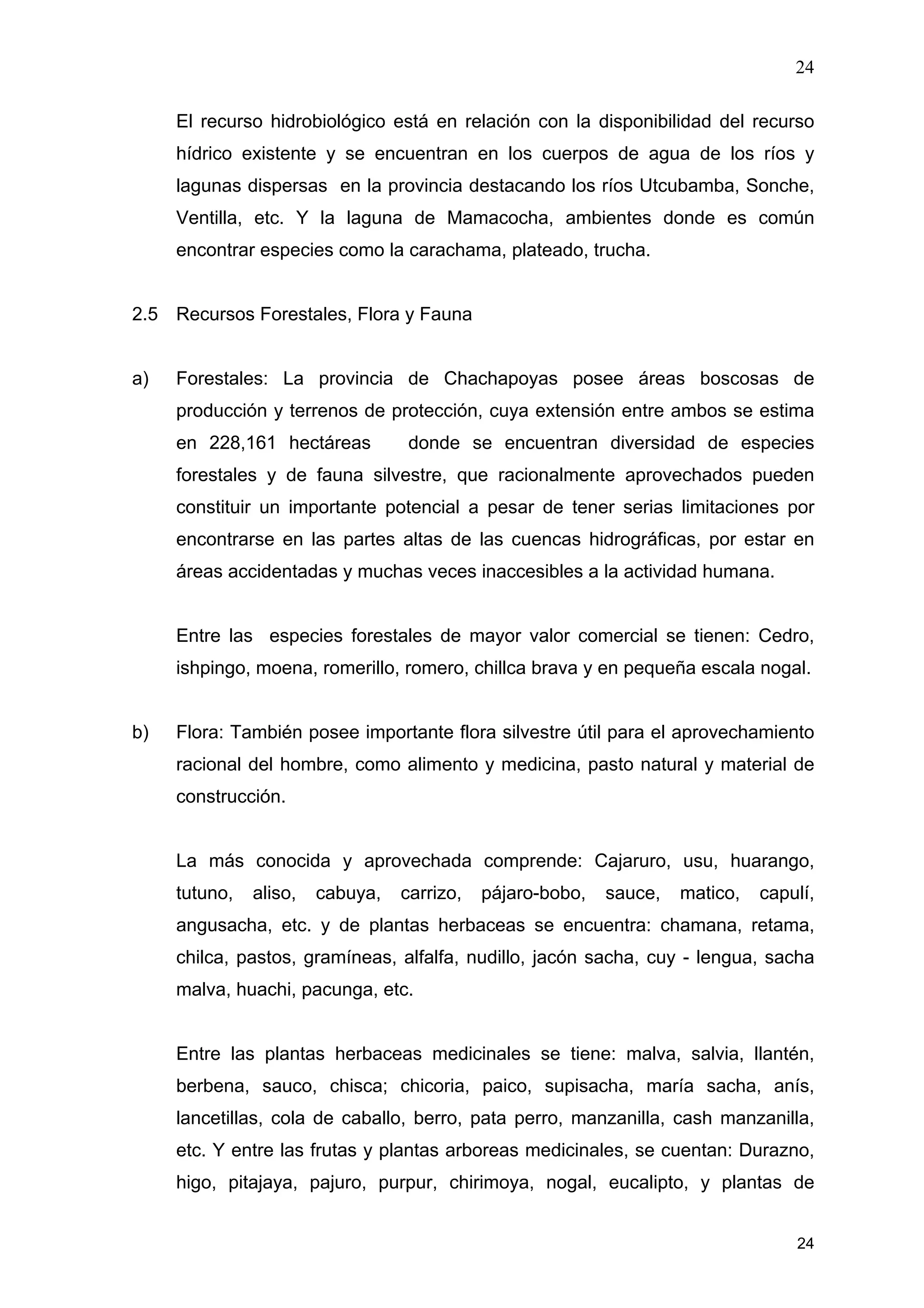 24
24
El recurso hidrobiológico está en relación con la disponibilidad del recurso
hídrico existente y se encuentran en los cuerpos de agua de los ríos y
lagunas dispersas en la provincia destacando los ríos Utcubamba, Sonche,
Ventilla, etc. Y la laguna de Mamacocha, ambientes donde es común
encontrar especies como la carachama, plateado, trucha.
2.5 Recursos Forestales, Flora y Fauna
a) Forestales: La provincia de Chachapoyas posee áreas boscosas de
producción y terrenos de protección, cuya extensión entre ambos se estima
en 228,161 hectáreas donde se encuentran diversidad de especies
forestales y de fauna silvestre, que racionalmente aprovechados pueden
constituir un importante potencial a pesar de tener serias limitaciones por
encontrarse en las partes altas de las cuencas hidrográficas, por estar en
áreas accidentadas y muchas veces inaccesibles a la actividad humana.
Entre las especies forestales de mayor valor comercial se tienen: Cedro,
ishpingo, moena, romerillo, romero, chillca brava y en pequeña escala nogal.
b) Flora: También posee importante flora silvestre útil para el aprovechamiento
racional del hombre, como alimento y medicina, pasto natural y material de
construcción.
La más conocida y aprovechada comprende: Cajaruro, usu, huarango,
tutuno, aliso, cabuya, carrizo, pájaro-bobo, sauce, matico, capulí,
angusacha, etc. y de plantas herbaceas se encuentra: chamana, retama,
chilca, pastos, gramíneas, alfalfa, nudillo, jacón sacha, cuy - lengua, sacha
malva, huachi, pacunga, etc.
Entre las plantas herbaceas medicinales se tiene: malva, salvia, llantén,
berbena, sauco, chisca; chicoria, paico, supisacha, maría sacha, anís,
lancetillas, cola de caballo, berro, pata perro, manzanilla, cash manzanilla,
etc. Y entre las frutas y plantas arboreas medicinales, se cuentan: Durazno,
higo, pitajaya, pajuro, purpur, chirimoya, nogal, eucalipto, y plantas de
 