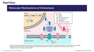 Advancing the Management of Cholestatic Liver Disease: Optimizing ...