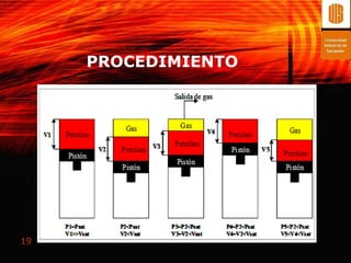 PROCEDIMIENTO




19
 