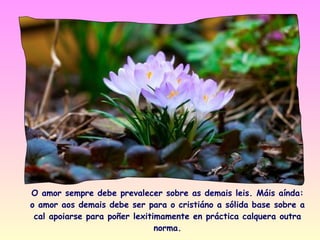 O amor sempre debe prevalecer sobre as demais leis. Máis aínda:
o amor aos demais debe ser para o cristiáno a sólida base sobre a
 cal apoiarse para poñer lexitimamente en práctica calquera outra
                               norma.
 