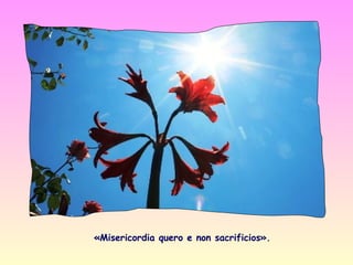 «Misericordia quero e non sacrificios».
 