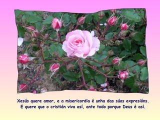 Xesús quere amor, e a misericordia é unha das súas expresións.
 E quere que o cristián viva así, ante todo porque Deus é así.
 
