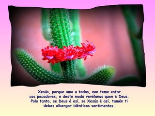 Xesús, porque ama a todos, non teme estar
cos pecadores, e deste modo revélanos quen é Deus.
 Polo tanto, se Deus é así, se Xesús é así, tamén ti
        debes albergar idénticos sentimentos.
 