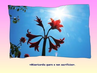 «Misericordia quero e non sacrificios».
 