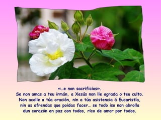 «…e non sacrificios».
Se non amas a teu irmán, a Xesús non lle agrada o teu culto.
 Non acolle a túa oración, nin a túa asistencia á Eucaristía,
  nin as ofrendas que poidas facer… se todo iso non abrolla
   dun corazón en paz con todos, rico de amor por todos.
 