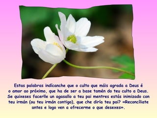 Estas palabras indícanche que o culto que máis agrada a Deus é
o amor ao próximo, que ha de ser a base tamén do teu culto a Deus.
Se quixeses facerlle un agasallo a teu pai mentres estás inimizado con
teu irmán (ou teu irmán contigo), que che diría teu pai? «Reconcíliate
            antes e logo ven a ofrecerme o que desexes».
 
