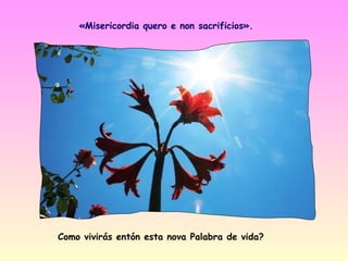 «Misericordia quero e non sacrificios».




Como vivirás entón esta nova Palabra de vida?
 