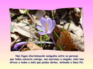 Non fagas discriminación nuingunha entre as persoas
que teñan contacto contigo, non marxines a ninguén; máis ben
ofrece a todos o máis que poidas darles, imitando a Deus Pai.
 