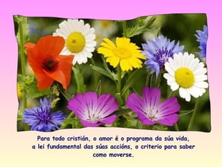 Para todo cristián, o amor é o programa da súa vida,
a lei fundamental das súas accións, o criterio para saber
                      como moverse.
 