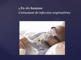 Creixement de infeccion 辱ò
 