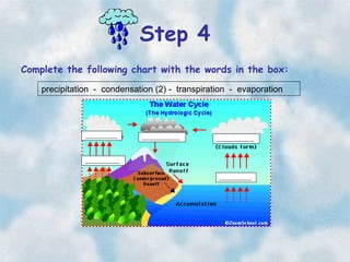 Pw water cycle | PPT