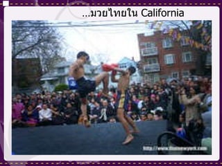 … มวยไทยใน  California 