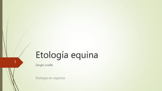 Etología equina
Sergio ovalle
Etología en equinos
1
 