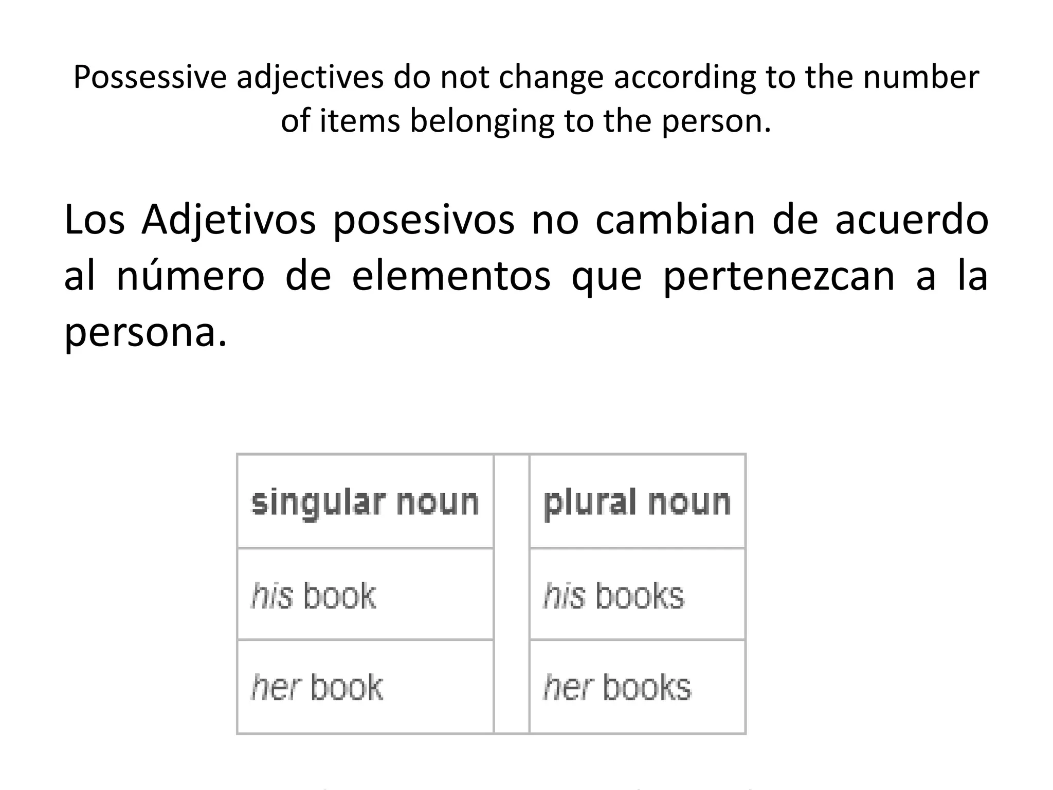 Possessive adjectives do not change according to the number of items belonging to the person. 
Los Adjetivos posesivos no cambian de acuerdo al número de elementos que pertenezcan a la persona. 
 