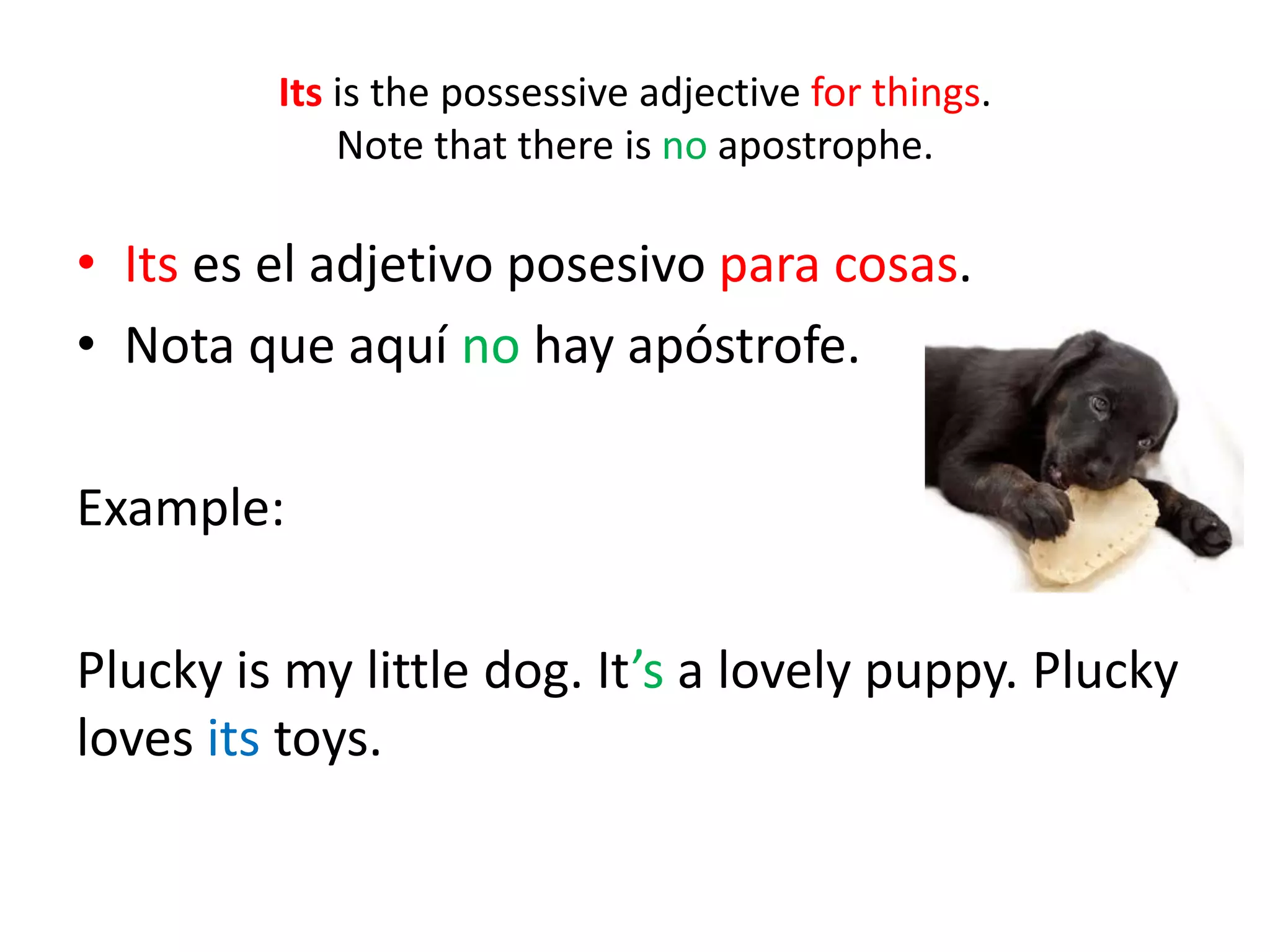 Its is the possessive adjective for things. Note that there is no apostrophe. 
•Its es el adjetivo posesivo para cosas. 
•Nota que aquí no hay apóstrofe. 
Example: 
Plucky is my little dog. It’s a lovely puppy. Plucky loves its toys.  