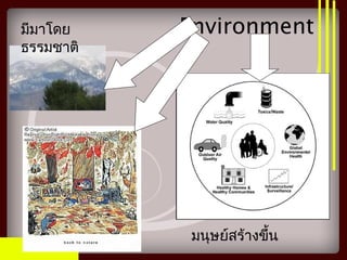 Environmentมีมาโดย
ธรรมชาติ
มนุษย์สร้างขึ้น
 