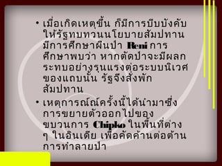 • เมื่อเกิดเหตุขึ้น ก็มีการบีบบังคับ
ให้รัฐทบทวนนโยบายสัมปทาน
มีการศึกษาผืนป่า Reni การ
ศึกษาพบว่า หากตัดป่าจะมีผลก
ระทบอย่างรุนแรงต่อระบบนิเวศ
ของแถบนั้น รัฐจึงสั่งพัก
สัมปทาน
• เหตุการณ์ณ์ครั้งนี้ได้นำามาซึ่ง
การขยายตัวออกไปของ
ขบวนการ Chipko ในพื้นที่ต่าง
ๆ ในอินเดีย เพื่อคัดค้านต่อต้าน
การทำาลายป่า
 