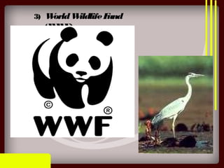 3) WorldWildlifeFund
(WWF)
 