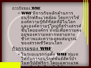 ภารกิจของ WWF
• WWF มีภารกิจหลักด้านการ
อนุรักษ์สิ่งแวดล้อม โดยการใช้
องค์ความรู้ที่ดีที่สุดที่มีในโลก
และองค์ความรู้ใหม่ที่สร้างสรรค์
ขึ้นโดยองค์กร ทั้งนี้เพื่อความคง
อยู่ของความหลากหลายทาง
ชีวภาพและความอุดมสมบูรณ์
ของสรรพชีวิตบนโลก
กิจกรรมของ WWF
• ในระยะแรกก่อตั้ง WWF ทุ่มเท
ให้กับการอนุรักษ์พันธ์สัตว์ป่า
ในทวีปอัฟริกา โดยเฉพาะแรต
 