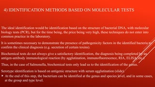 PW 9. Germ Identification.pptxnzbsbsbdbdndnns | PPTX