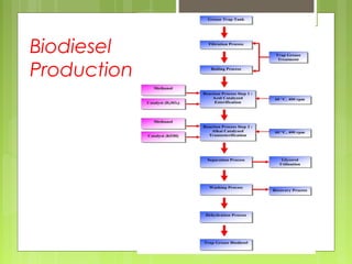 Biodiesel
Production
 
