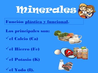 Minerales
Función plástica y funcional.
Los principales son:
el Calcio (Ca)
el Hierro (Fe)
el Potasio (K)
el Yodo (I).
 